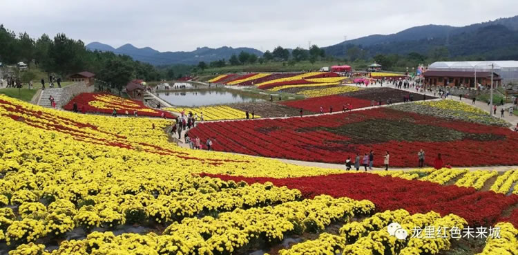 贵州第二届龙湖花海项目