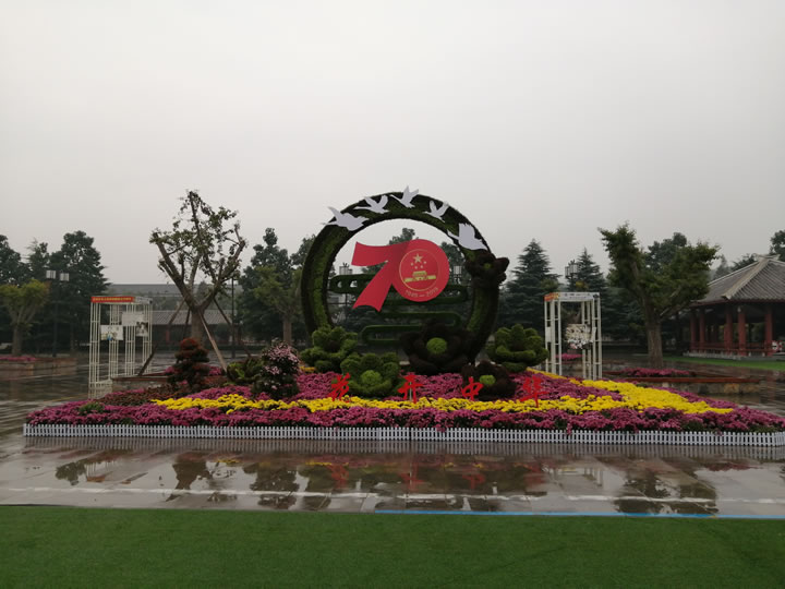 五色草造型-花开中华