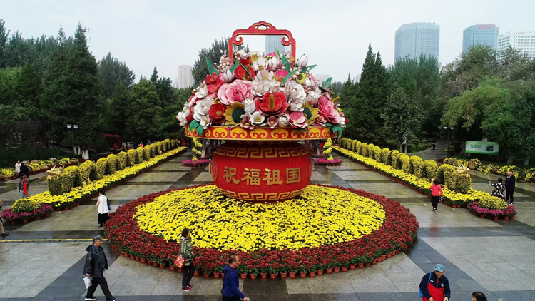 绢花造型有哪些特点？