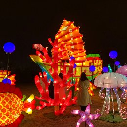 彩灯花灯制作