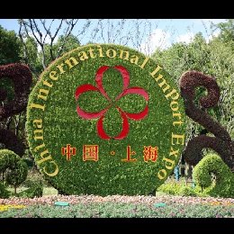 上海进博会绿雕