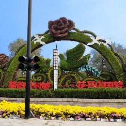 开封第三十六届菊花文化节城