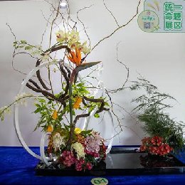 2023年插花艺术作品赏析