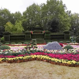 菊花展设计布展案例-重庆五色