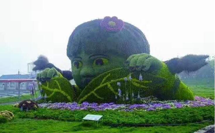常州五色草造型－ 女孩五色草造型