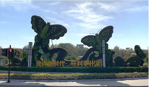 河南国庆植物立体花坛造型