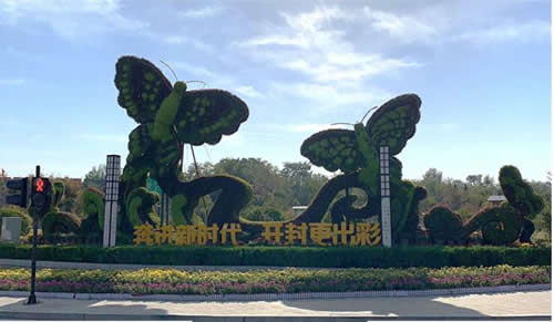 菊展中的绿雕造型案例（开封菊花展设计布展源头公司）