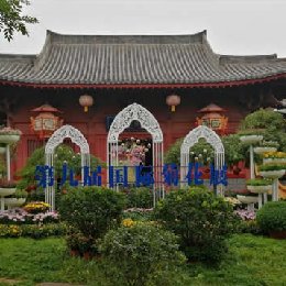2020年第九届清明上河园国际菊