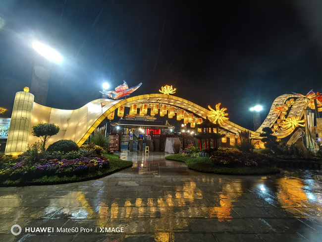 2025年翰园碑林菊花展项目完工实景图