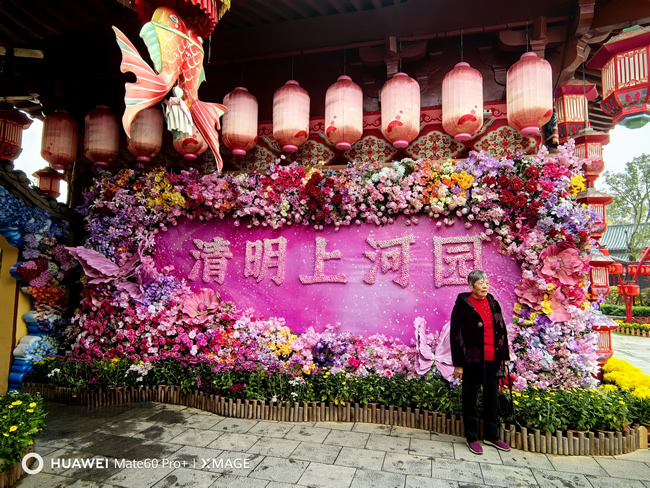 2025年清明上河园第14届国际菊花展完工实景图