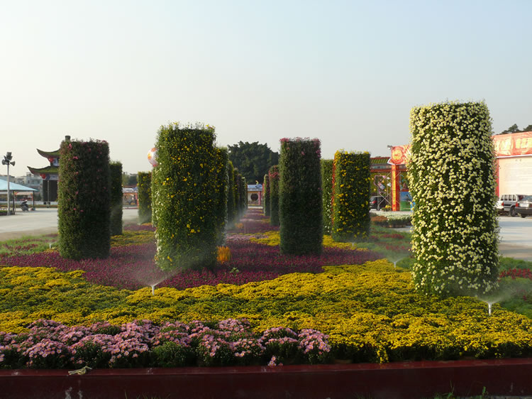 菊柱在菊展中应用